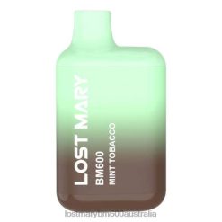 LOST MARY Disposable Vapes - Mint Tobacco LOST MARY BM600 Disposable Vape N2R6124